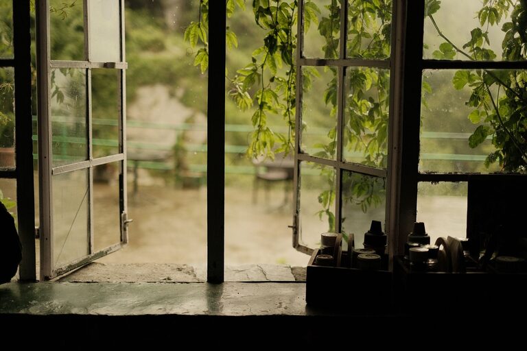 Formas fáciles de aprovechar mejor la luz natural en casa